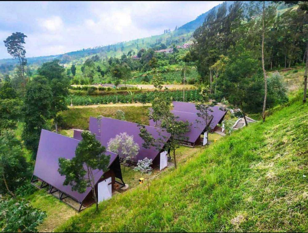potret pemandangan Kema Merbabu (instagram.com/agustryan)