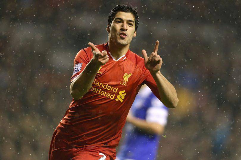 Luis Suarez (liverpoolecho.co.uk)