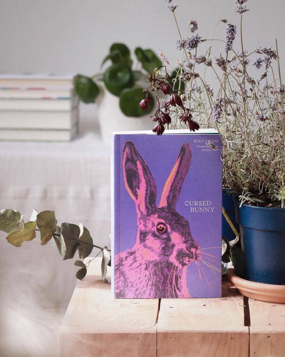 novel Cursed Bunny karya Bora Chung (instagram.com/bookedforcc)