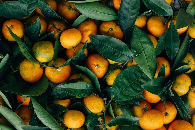 ilustrasi buah jeruk keprok (unsplash.com/Erol Ahmed)