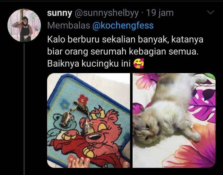 kucing membawa hadiah (twitter.com/sunnyshelbyy)