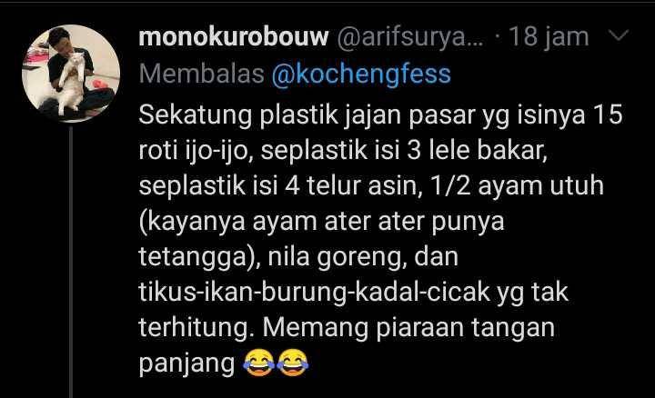 kucing membawa hadiah (twitter.com/arifsuryantoo)
