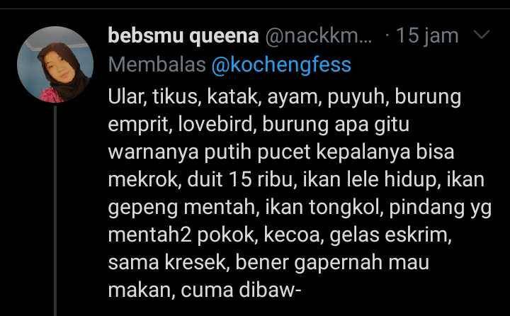 kucing membawa hadiah (twitter.com/nackkmama)