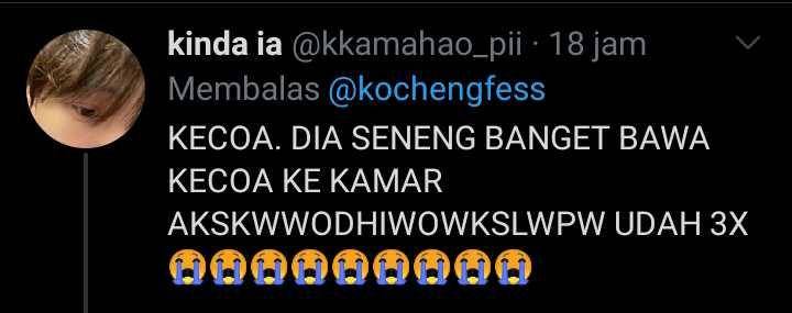 kucing membawa hadiah (twitter.com/kkamahao_pii)