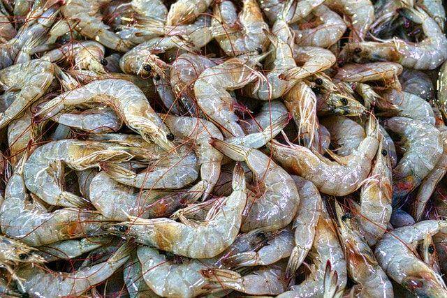 ilustrasi udang (Pexels.com/Tom Fisk)