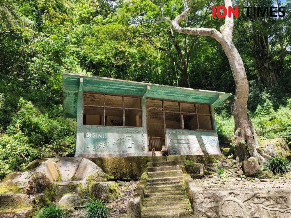 Tempat penyimpanan makanan satwa primata (IDN Times/Masdalena Napitupulu)