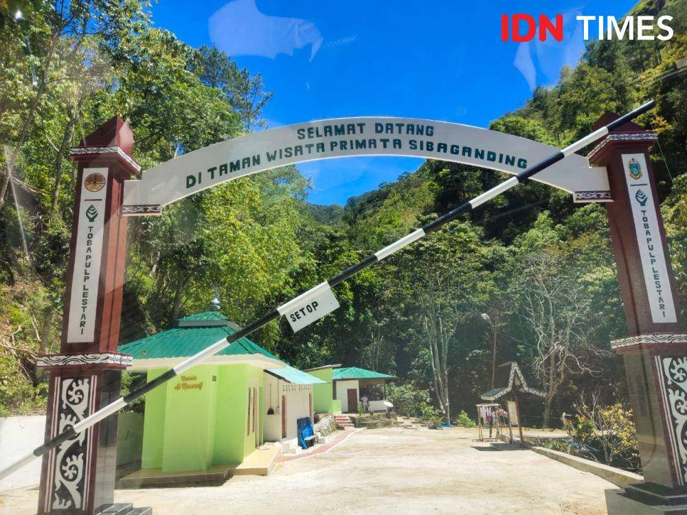IDN Times/Masdalena Napitupulu