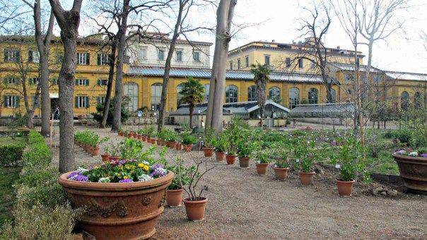 potret Orto botanico di Firenze (firenzepost.it)