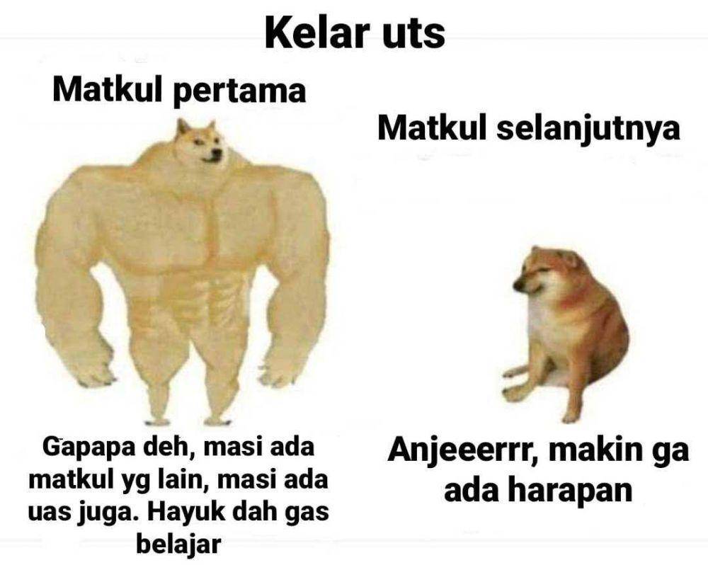 meme seputar kuliah (twitter.com/dreamingofchu)