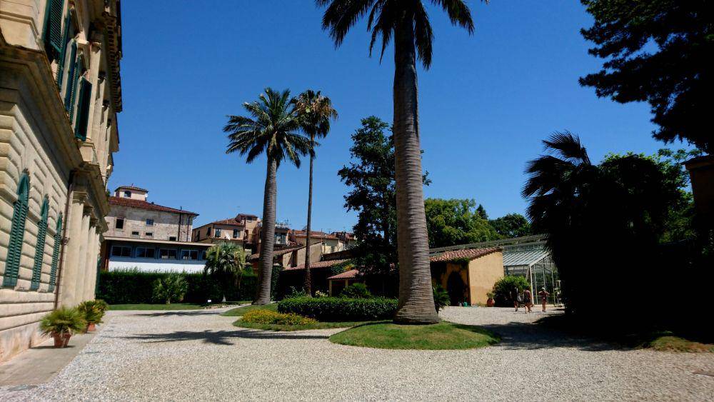 potret Orto botanico di Pisa (erasmusu.com)