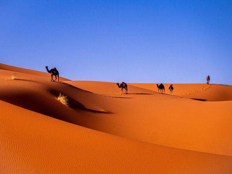 Gurun Sahara (unsplash.com/Carlos Leret)