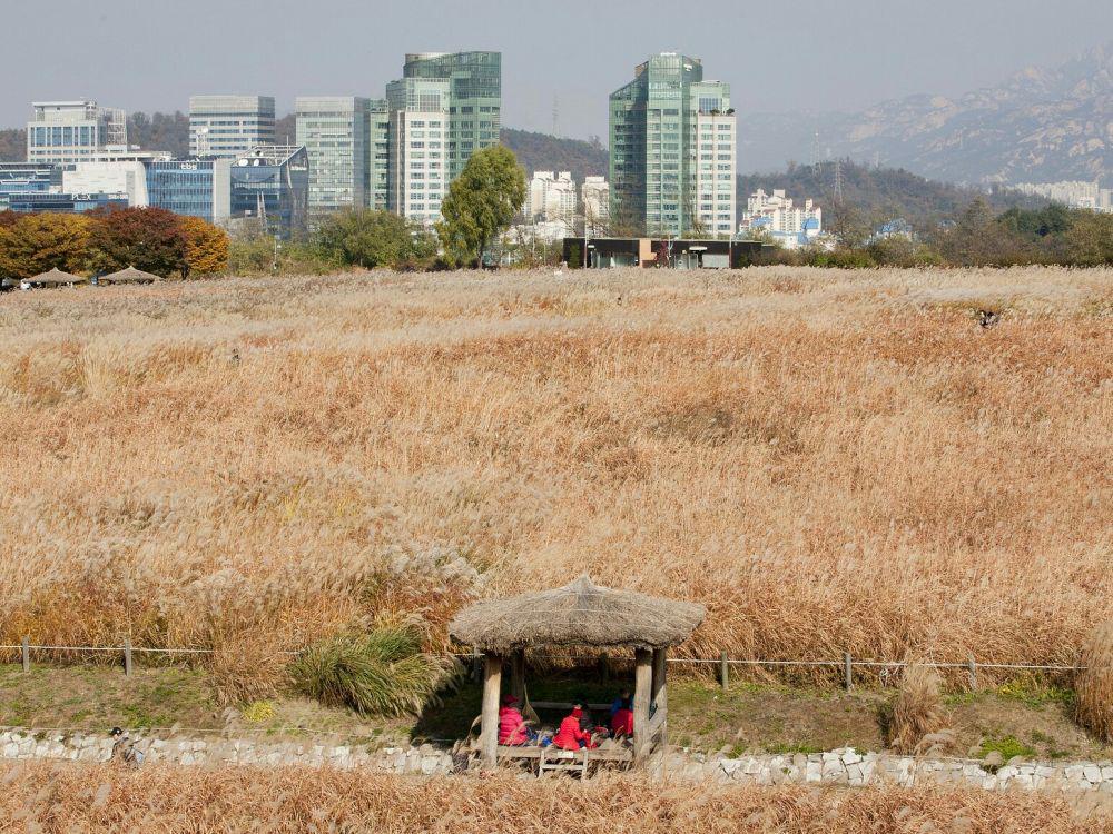 Haneul Park (pixabay.com/@heungsoon)