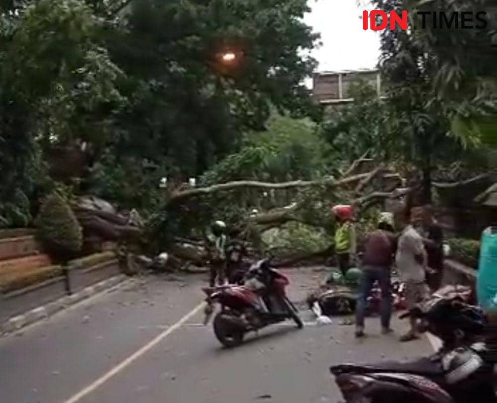 Hujan Disertai Angin Tumbangkan Pepohonan dan Longsor di Purwakarta