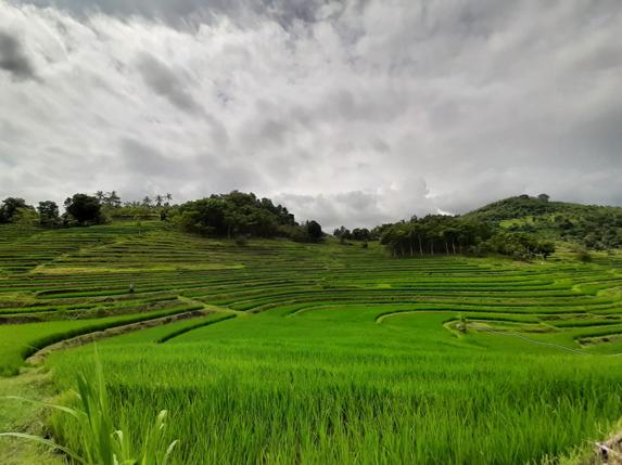[Puisi] Menyisih
