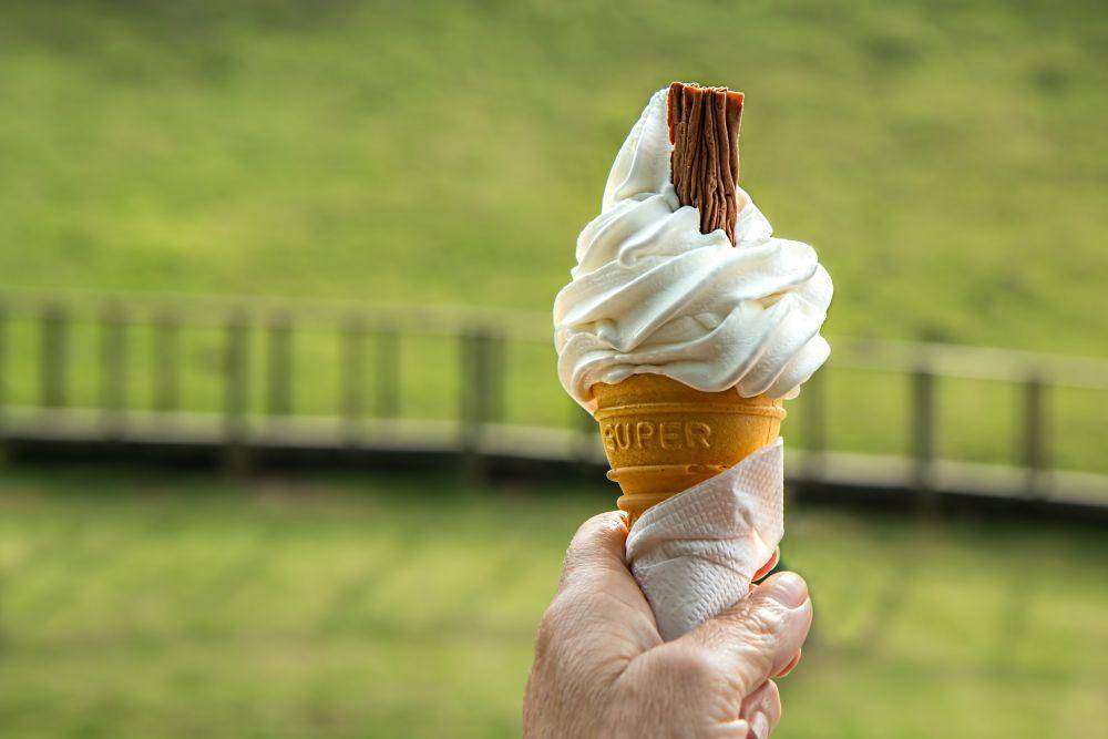ilustrasi soft es krim (pexels.com/pixabay)