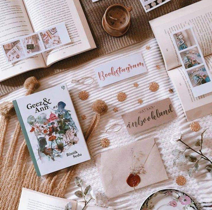 novel Geez and Ann (instagram.com/kataka.inbookland)