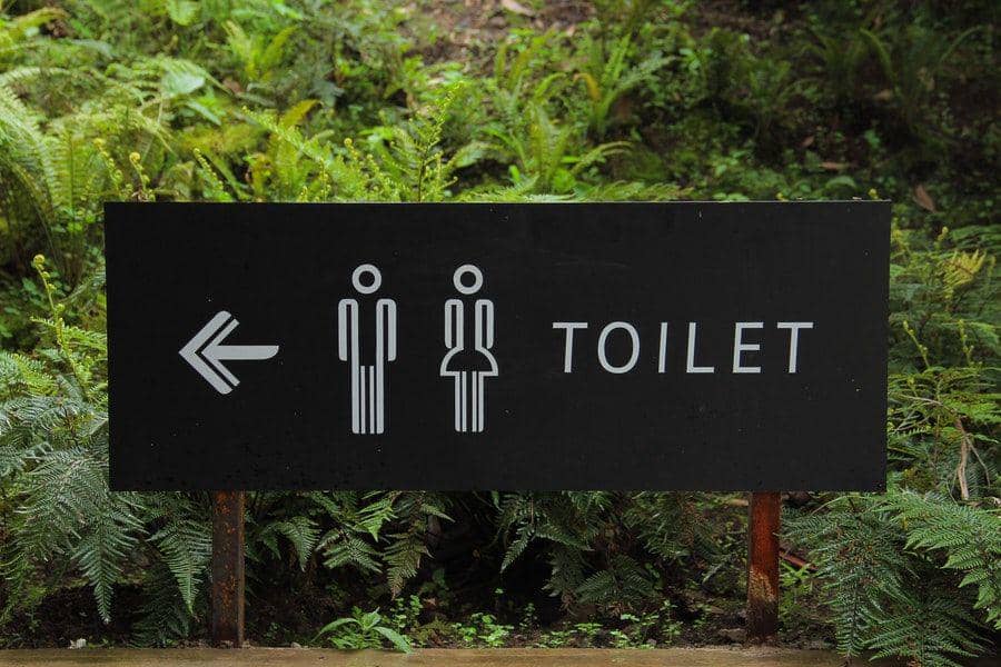 Ilustrasi toilet (Pexels.com/Hafidz Alifuddin)
