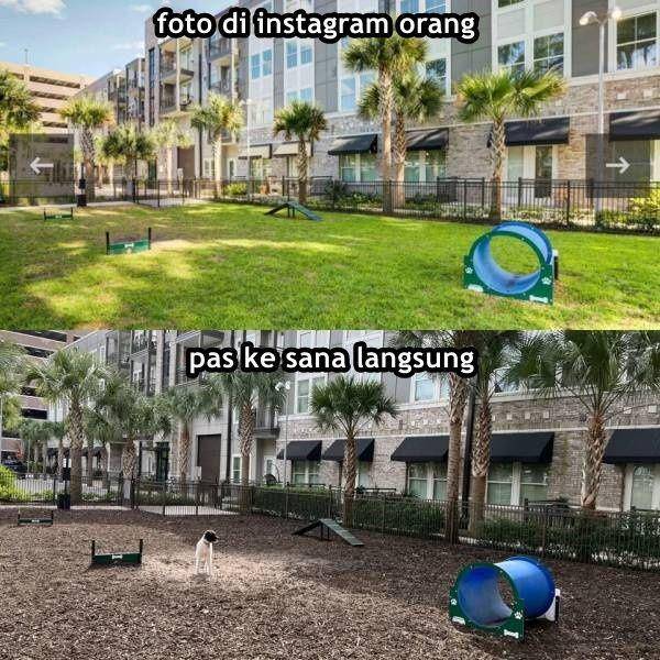 bukti harapan gak sesuai realita (izismile.com)