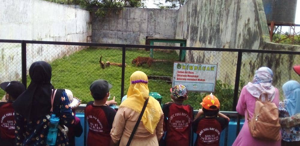 Suasana saat murid berkunjung ke Medan Zoo (IDN Times/Indah Permata Sari)