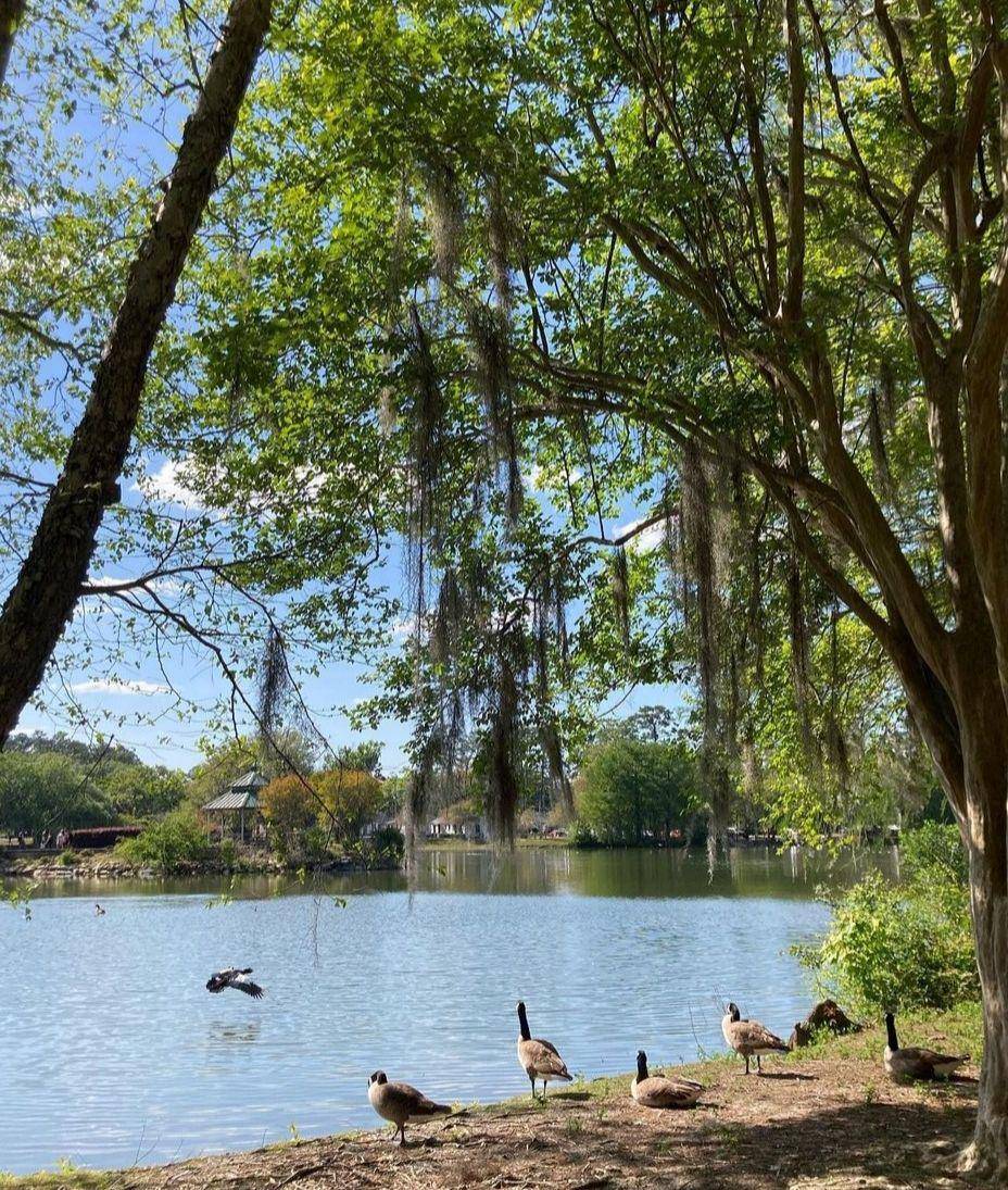 Lake Ella (instagram.com/ephemeralplleasures)