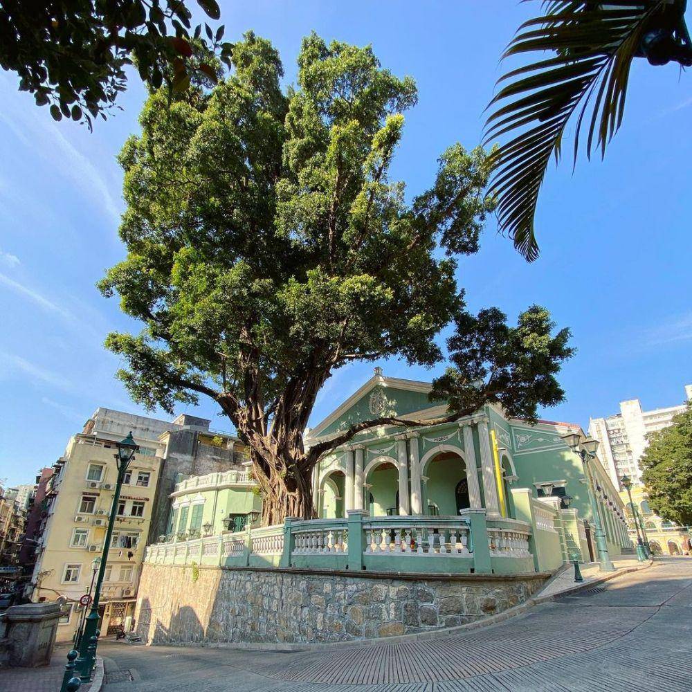 Dom Pedro V Theatre. (instagram.com/childschow)
