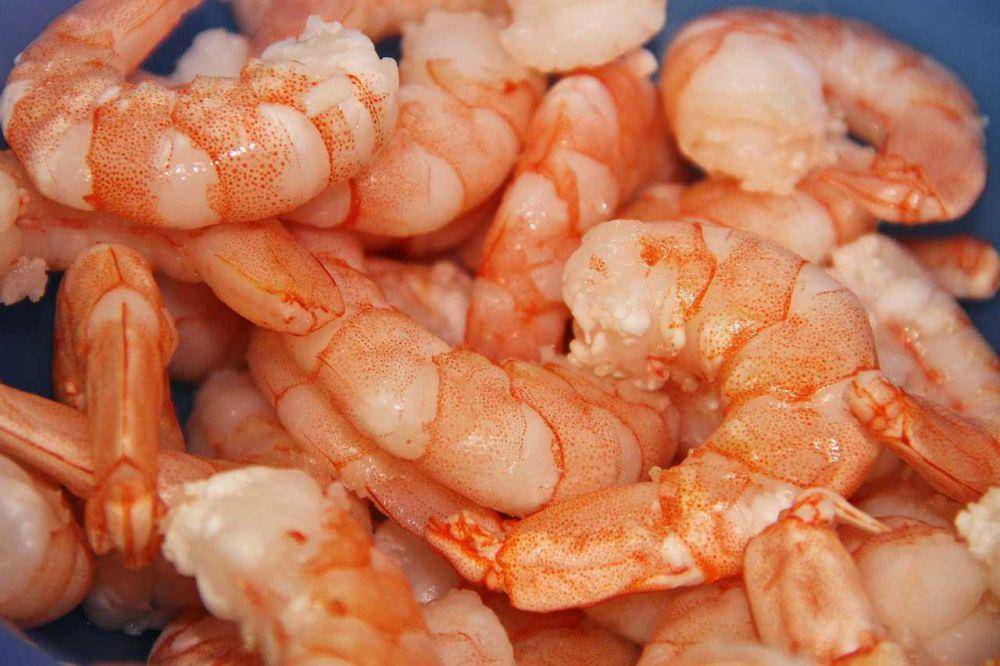 ilustrasi udang segar (pixabay.com/manfredrichter)