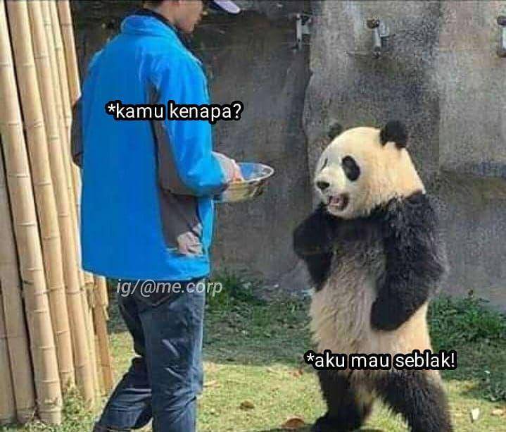 meme seblak (instagram.com/nitezoo)