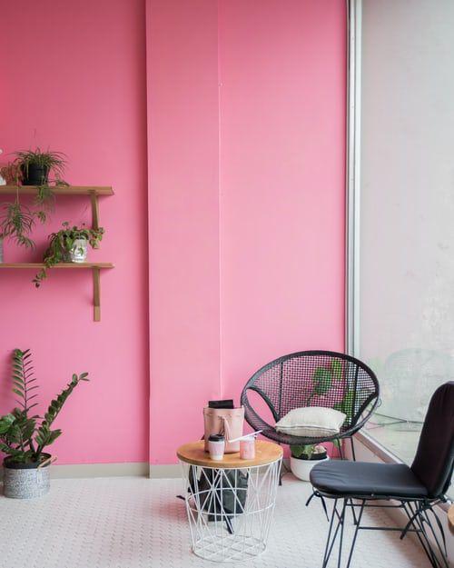 ilustrasi ruang tamu pink (unsplash.com/stefentan)