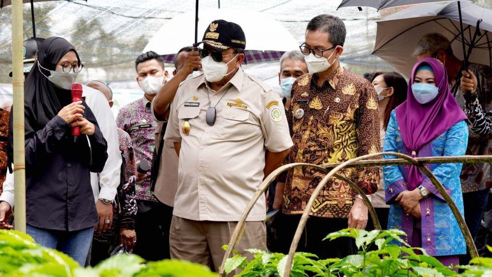 Petani kopi di Tanggamus terima penghargaaan dalam rangka perayaan 50 tahun Nestlé di Indonesia, Kamis (4/11/2021). (IDN Times/Istimewa).