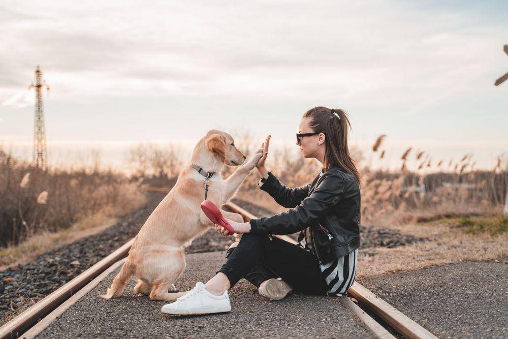 ilustrasi bermain dengan anjing peliharaan (unsplash.com/Richard Brutyo)