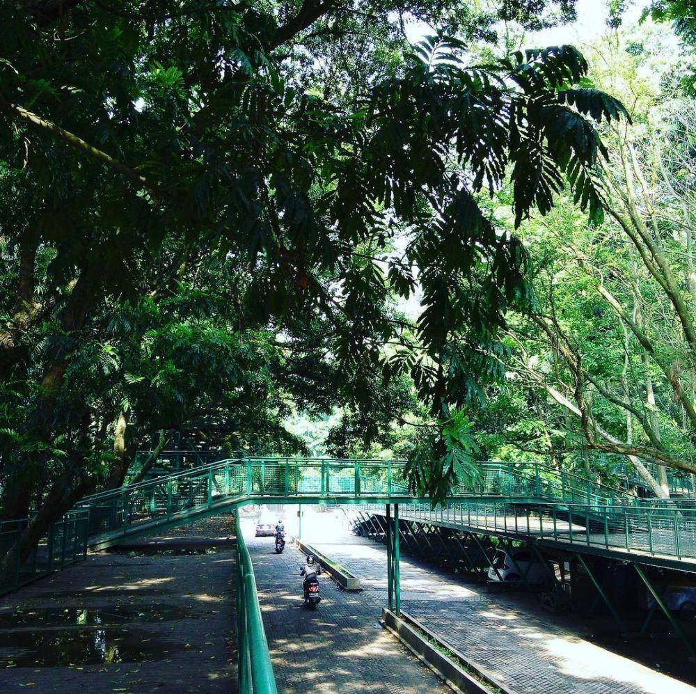 Forest Walk Babakan Siliwangi, Bandung (instagram.com/magnoficent)