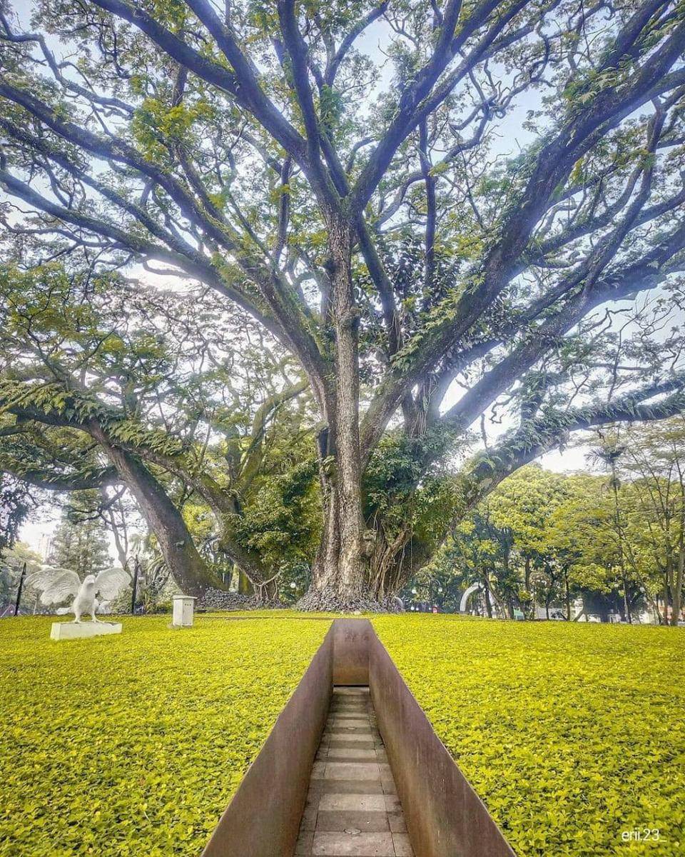 Ilustrasi Taman Balai Kota Bandung (instagram.com/erii.23_)