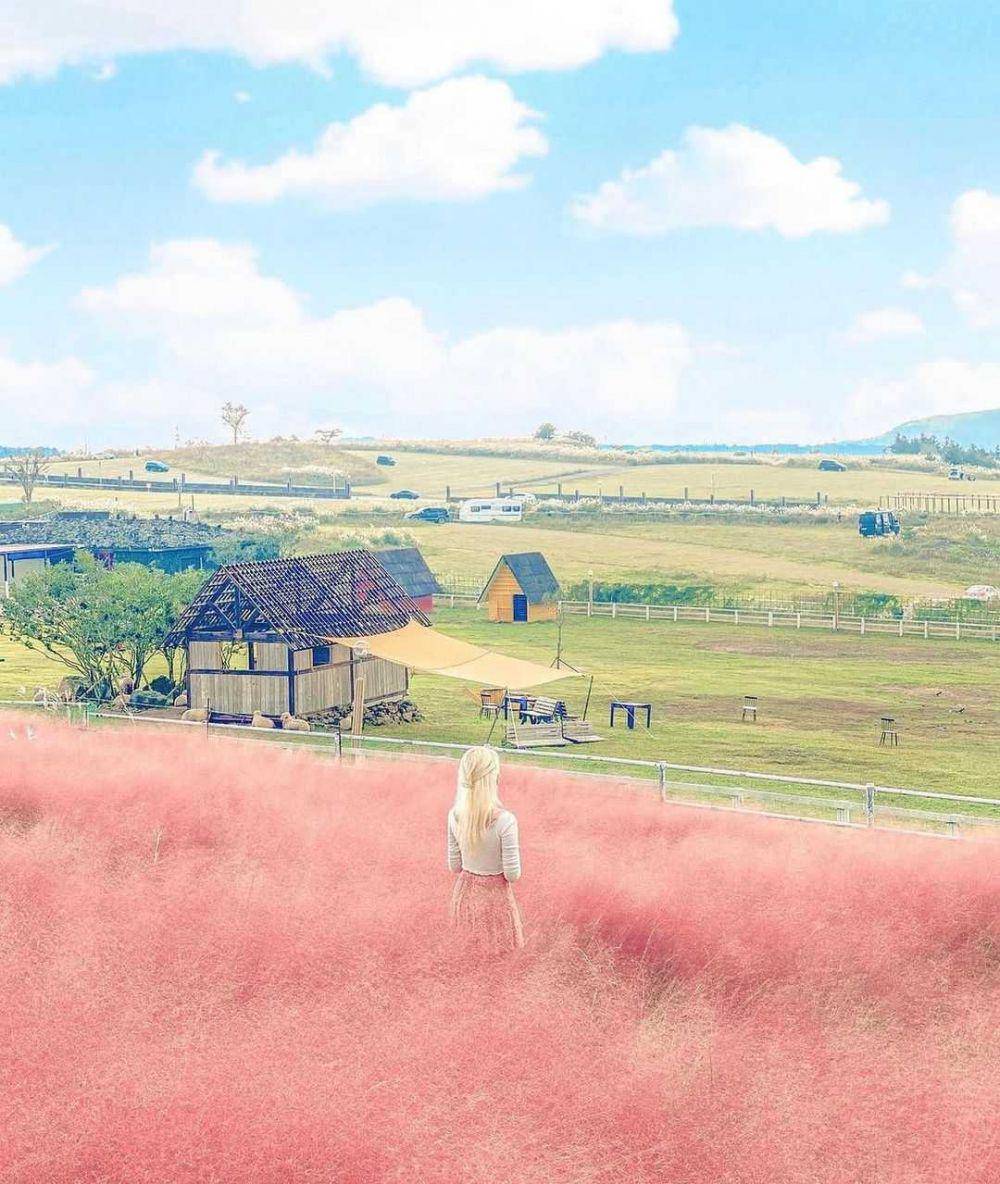 Pulau Jeju (instagram.com/jejuisland_korea)