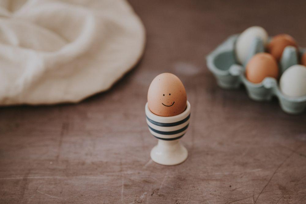 ilustrasi telur ayam (unsplash.com/Annie Spratt)
