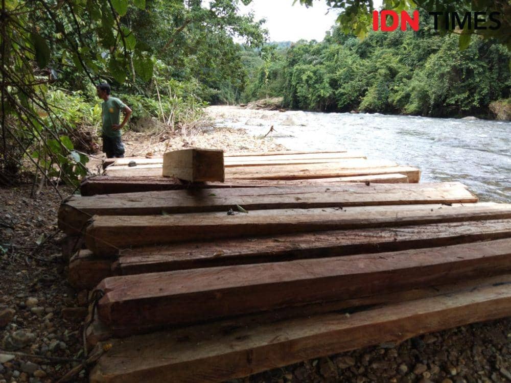 Penyelundupan Kayu dari Hutan TNKS Berhasil Digagalkan