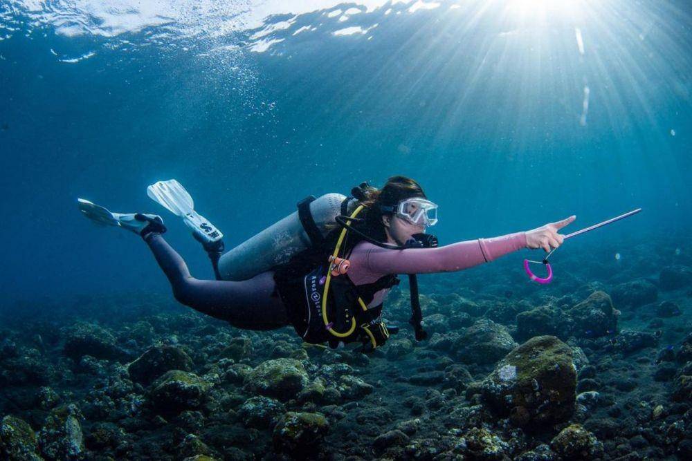 Gisella Anastasia scuba diving (Yansu_diving via Instagram.com/gisel_la/)