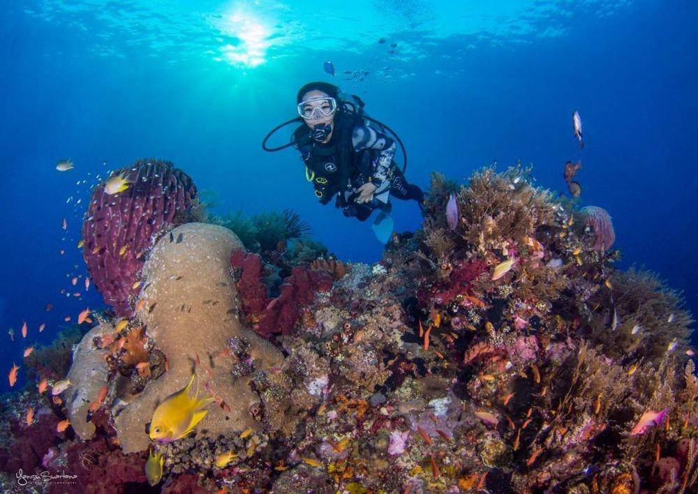 Gisella Anastasia scuba diving (Yansu_diving via Instagram.com/gisel_la/)