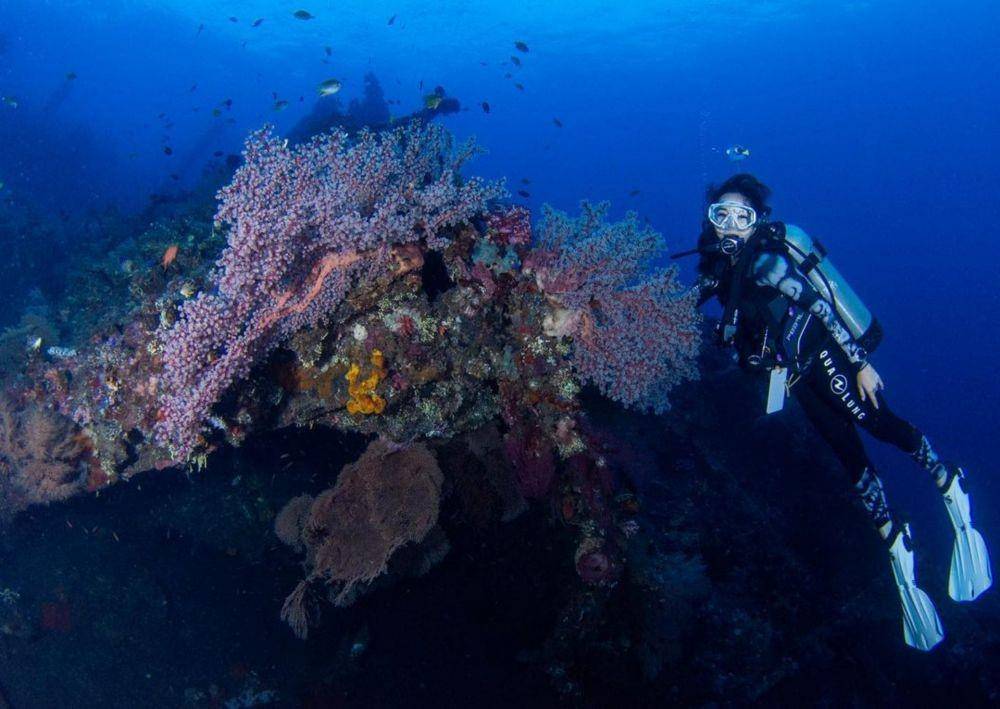 Gisella Anastasia scuba diving (Yansu_diving via Instagram.com/gisel_la/)