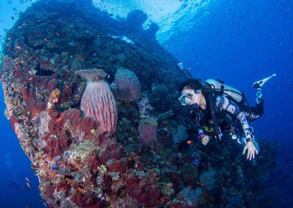 Gisella Anastasia scuba diving (Yansu_diving via Instagram.com/gisel_la/)