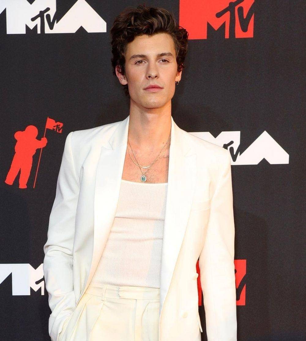 Shawn Mendes (instagram.com/shawnmendes)