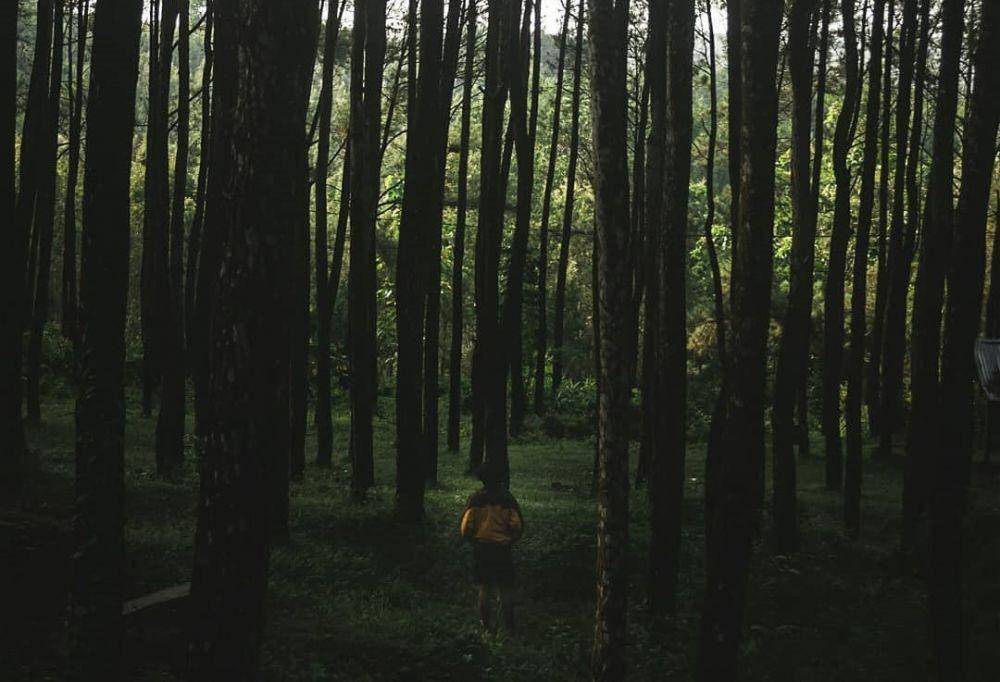 Puncak Becici (instagram.com/muhamadjef_)