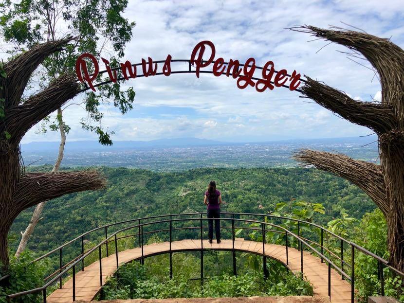 5 Hutan Pinus Terbaik di Yogyakarta, Hawanya Sejuk dan Segar