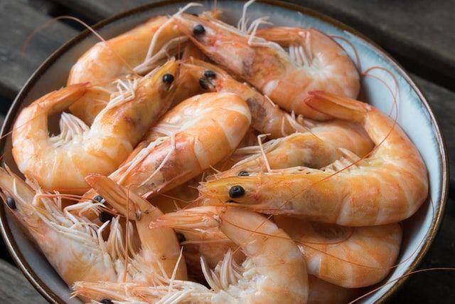 ilustrasi udang bersih (unsplash.com/danielklein)