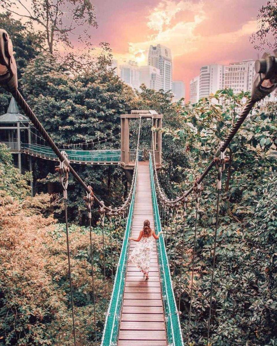 Kuala Lumpur Forest Eco Park (instagram.com/placesmalaysia)