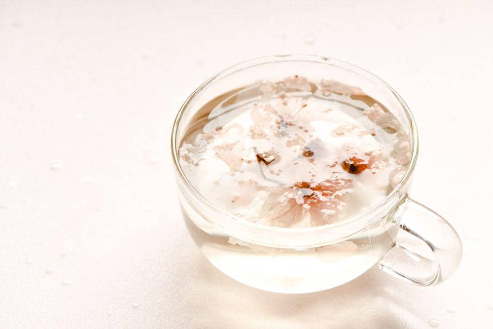 ilustrasi teh bunga sakura (pexels.com/@eva-elijas)