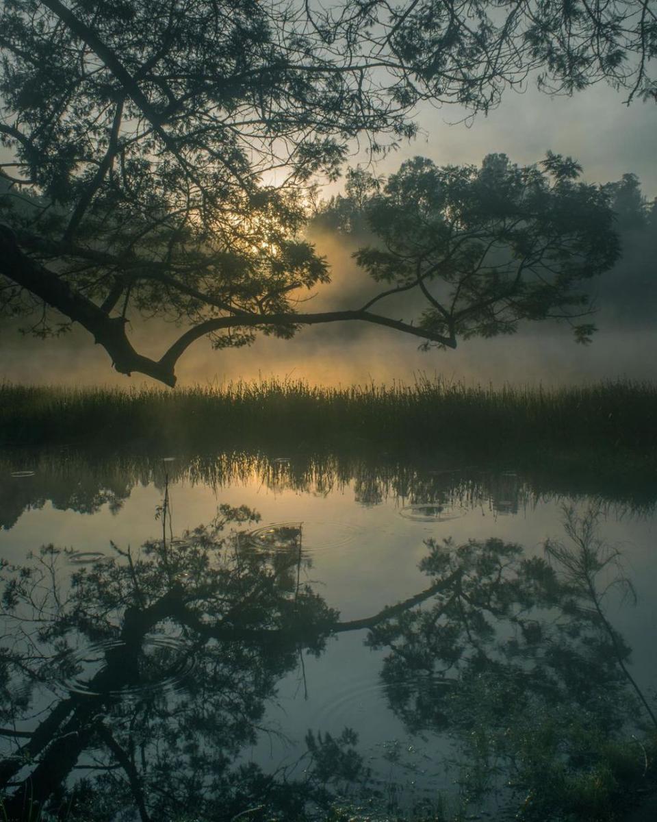 Potret Ranu Regulo (instagram.com/vanerdk)