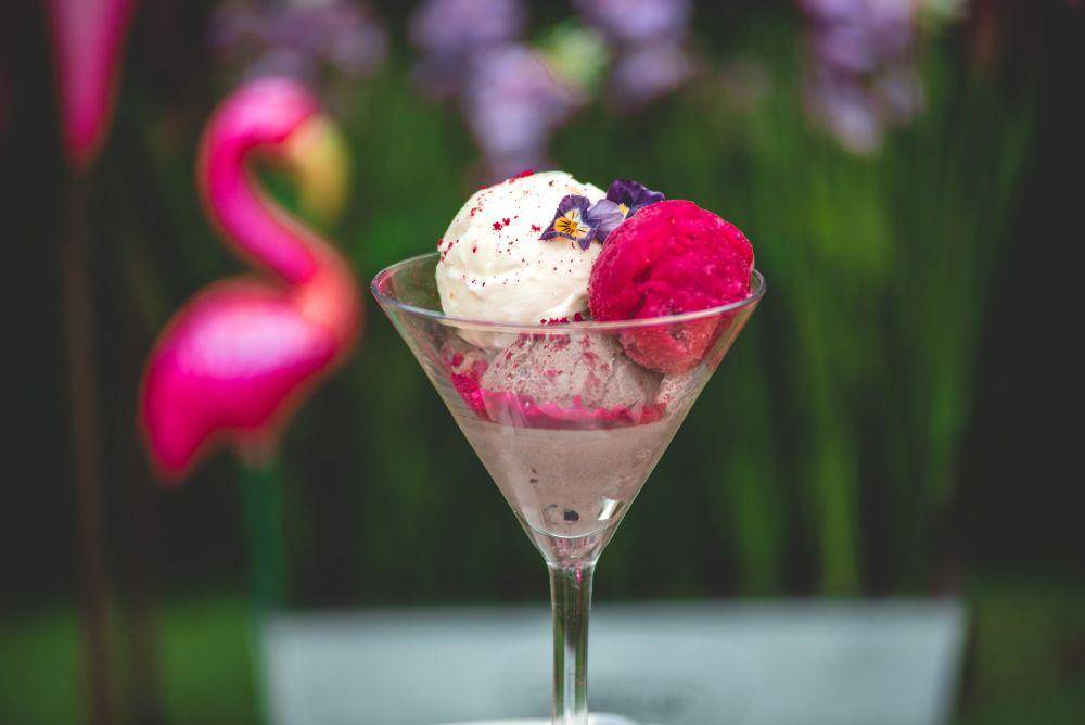 ilustrasi sorbet damson (pixabay.com/Atanas Paskalev)