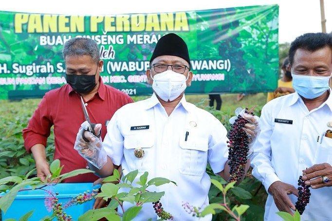 Wakil Bupati Banyuwangi, Sugirah. Instagram.com/sugirah_bwi