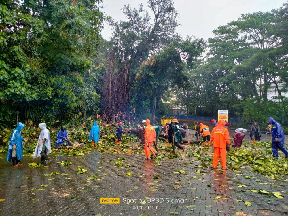 Pohon di Kawasan UGM Tumbang, 4 Pengendara Motor Jadi Korban
