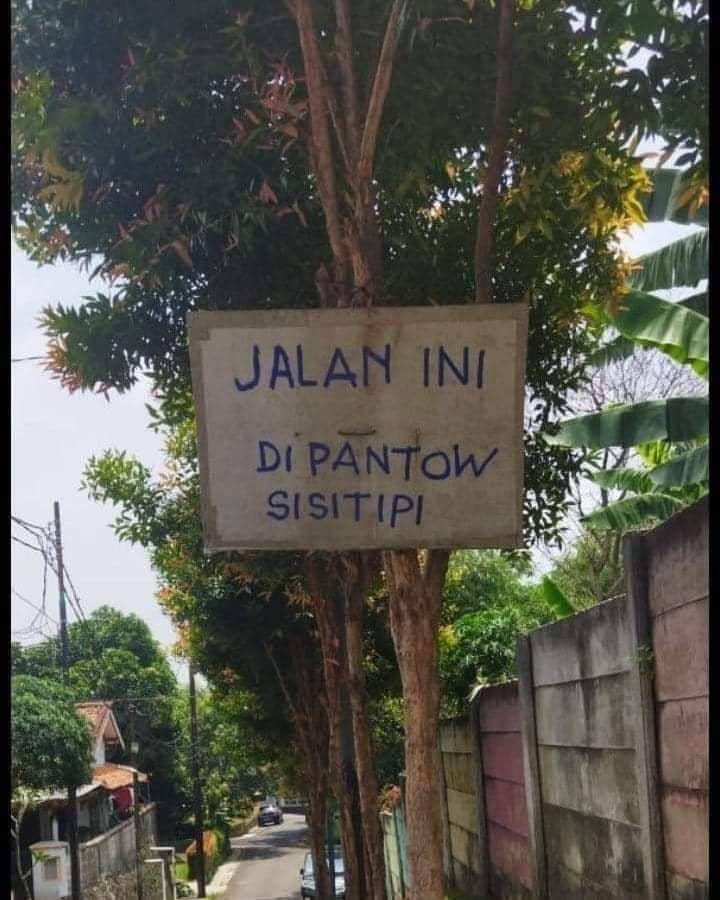 potret pohon unik (instagram.com/lelucon.seru)